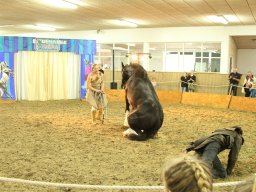 IMG_5214_web
